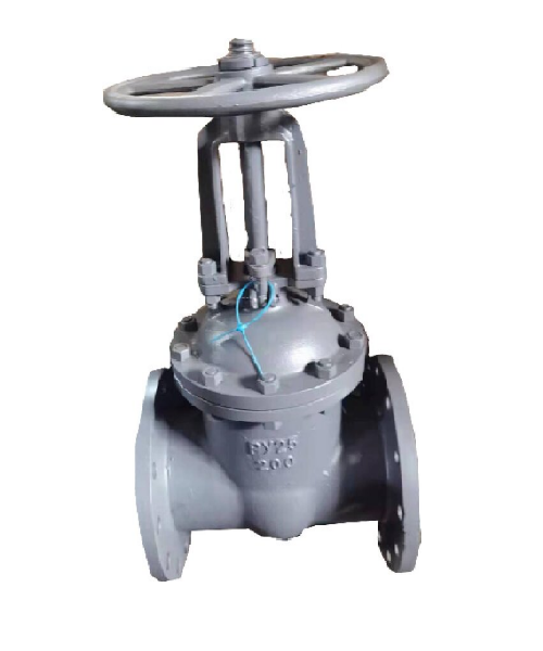 Cast steel gate valve