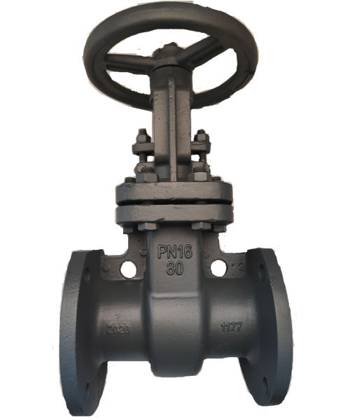 Cast steel gate valve
