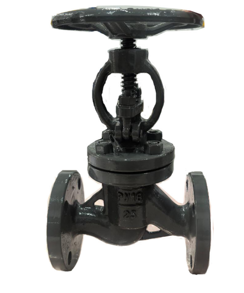 Cast steel globe valve Pn16