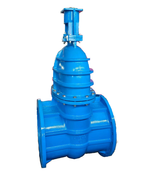 Cast iron gate valve 30Ч906БР