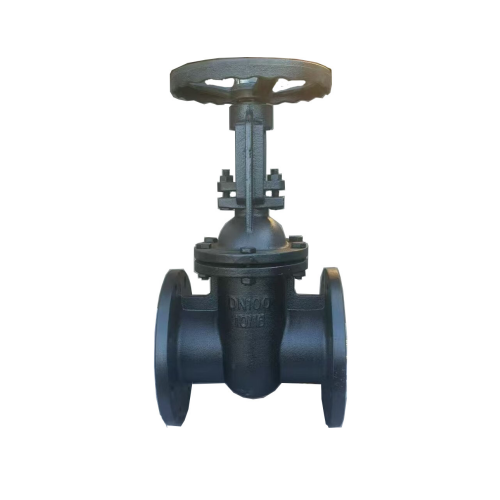  Ductile iron gate valve 30ч6бр