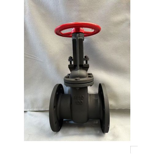Cast iron gate valve parallel dics