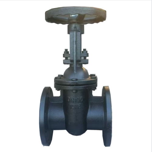 Cast iron gate valve pn10/16 30ч6бр GOST