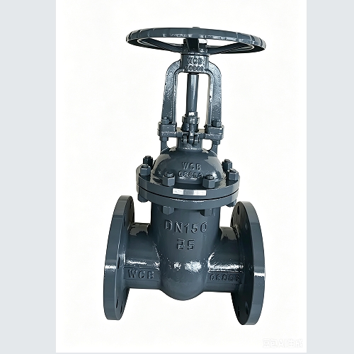 Cast steel gate valve PN25 30с64нж 